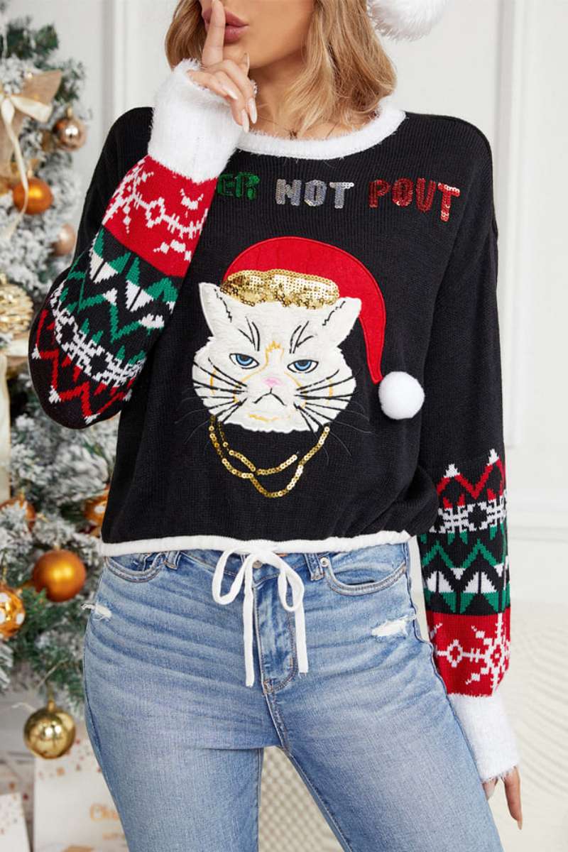 Casual Round Neck Cat Embroidery Sequin Sweater