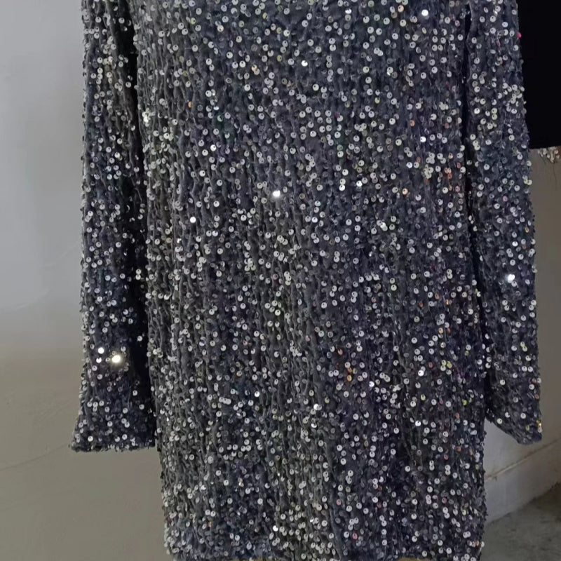 Women's Round Neck Long Sleeve Loose Sequins Short Spandex Dress